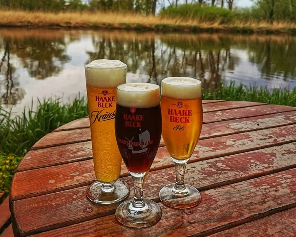 Auswahl an Bieren